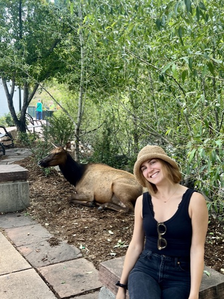 Kat in nature